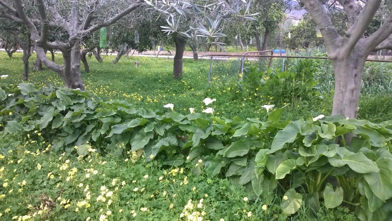 El Cortijo De La Abuela ξενώνας Benahadux Εξωτερικό φωτογραφία
