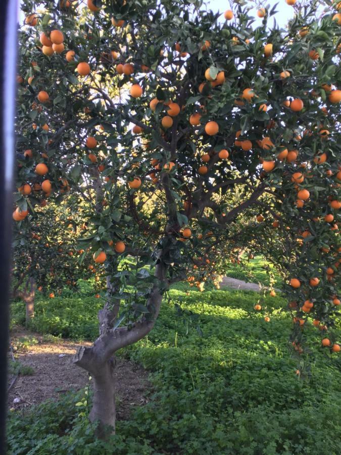 El Cortijo De La Abuela ξενώνας Benahadux Εξωτερικό φωτογραφία