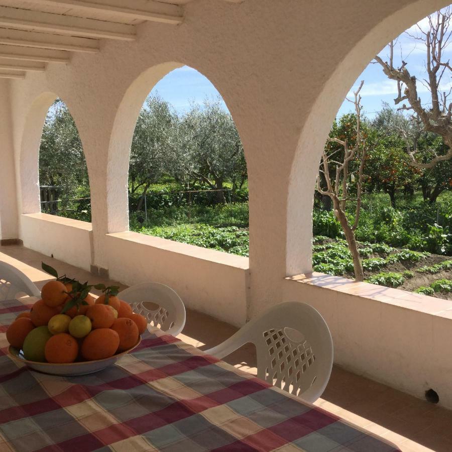 El Cortijo De La Abuela ξενώνας Benahadux Εξωτερικό φωτογραφία